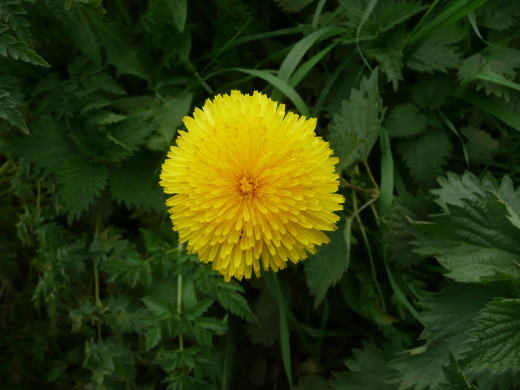 691425 (a): :1600x1200